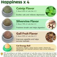 Juguetes de Catnip de Platavina para Gatos Bolas Energéticas Extra para Gatitos Limpieza Dental - details 0