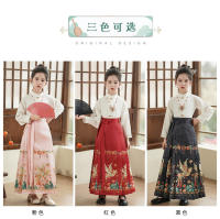 Falda con cara de caballo para niña, conjunto modificado Hanfu, disfraz antiguo Ming Tang de estilo chino para niña, verano para niños - details 3