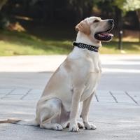 Juego de Collar y correa para perro con pinchos, Collar de perro de cuero con remaches, Collar ajustable para caminar al aire libre - details 4