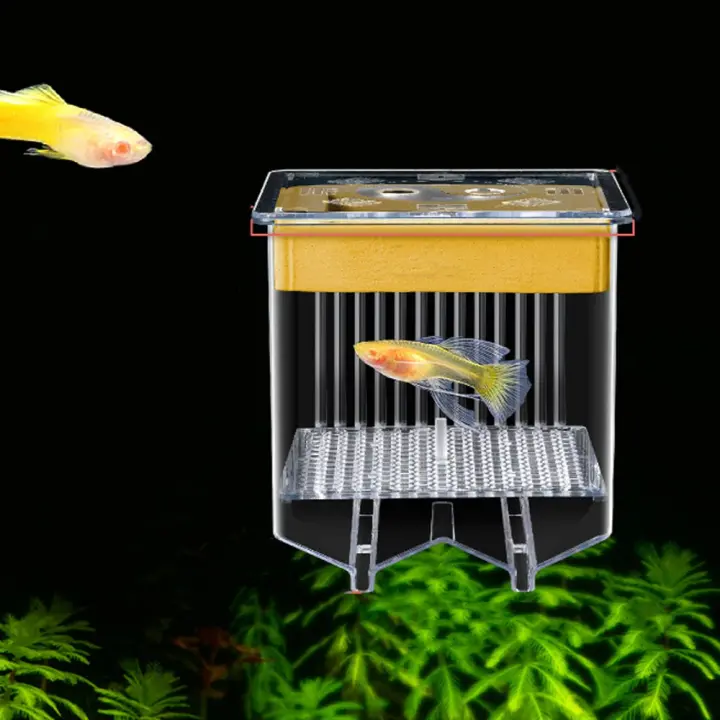 Caja transparente para criador de Guppy, desmontable, previene el escape, criadero de vida acuática, incubadora de peces madre Permeable, uso doméstico - 1