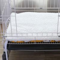 Estera de plataforma para jaula de gato de doble cara, manta cálida y cómoda para hamaca para mascotas, estera para cama de gato de invierno, estera de lona/PP de algodón para hamaca para gatos - details 3