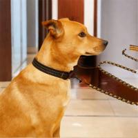 Correa ajustable duradera para perros, correa cómoda y transpirable para mascotas, cuerda de tracción reflectante impermeable para entrenamiento de gatos - details 9