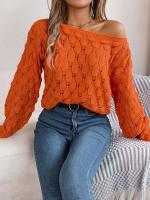 Suéter Casual de Invierno-Otoño Cuello Oblicuo, Manga Larga, Moda para Mujeres en Rosa - details 27