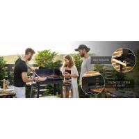 Barbacoa de Carbón Vegetal Parrilla Ajustable para Picnic y Acampada al Aire Libre 83x37x87 cm - details 7