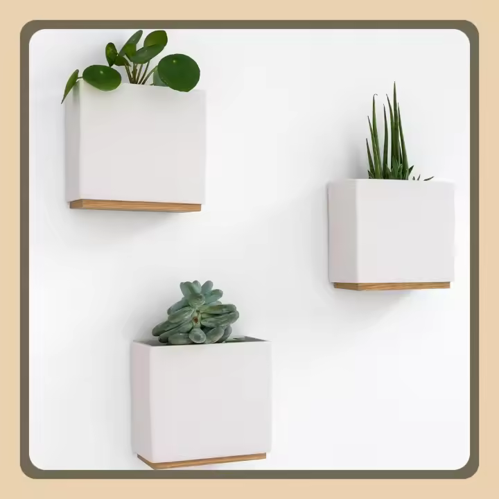 Macetas Colgantes Modernas de Resina Jardineras de Pared Alma Set de Porta Plantas para Plantas Interiores, Plantas Artificiales y Más - 1