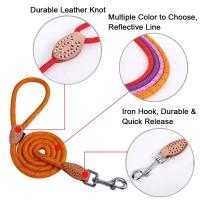 Productos mascotas, perro, reflectante nailon cachorro, cuerda gato, Chihuahua, conjunto correa Collar mascota, correas para - details 10