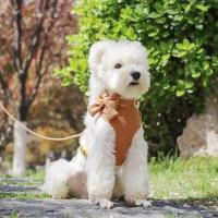Set de 3 Arneses Transpirables para Perros Collar de Terciopelo Suave con Correa - details 44