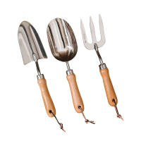 Juego De Herramientas De Jardinería 3 Piezas Mini Shovel Inoxidable Para Uso En El Jardín Y Floricultura Conjunto De Obreros De Jardín - details 5
