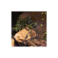 Simulación de vid marina de plástico de ramas de escalada de jungla, rama de esquina Flexible para reptiles, lagarto, decoración de acuario - details 2