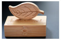 Memoria USB JASTER en Caja de Madera 128GB Diseño Creativo de Fotografía Regalo de Estudio - details 8
