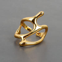 Anillos Abiertos en Forma de Gota de Agua Estilo Punk Geométrico Irregular - details 8