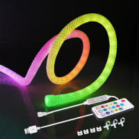 Luz de neón LED WS2812B RGB de 5V, cinta de píxeles flexible direccionable individualmente, Color de ensueño, tira de LED USB, lámpara de cuerda de silicona impermeable - details 5