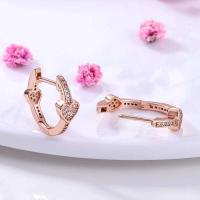 Pendientes redondos de circonio para mujer, colección de joyas geométricas, plata pura, oro rosa, accesorios de regalo - details 5