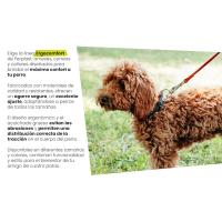 Correas, collares y arneses para perros de Ferplast