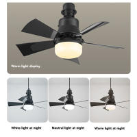Negro Ventilador de Techo con Bombilla E26 Iluminado - Luz de Ventilador con Casquillo Pequeño - Color Regulable - Para Salón, Dormitorio, Baño - details 3