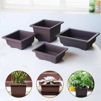 ETA de plástico de entrenamiento rectangular con bandeja de drenaje, cultivo de plantas bonsái jugosas ETA, decoración del hogar - details 7
