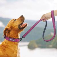 Conjunto correa cuero perro, Collar personalizado de 2 capas para perros pequeños, medianos y grandes, Pitbull - details 4