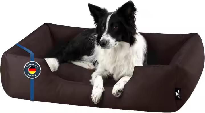 BedDog Zara - Cama para Perros con Funda extraíble y Lavable, sofá para Perros medianos XL - 1