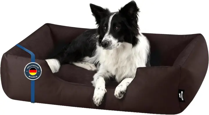 BedDog Zara - Cama para Perros con Funda extraíble y Lavable, sofá para Perros medianos XL - 1
