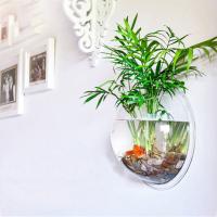 Pecera acrílica montada en la pared, forma de Hemisferio, colgante de pared transparente, pecera colgante 3D, decoración del hogar - details 4