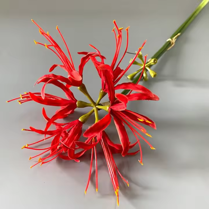 Rama de flor Higanbana Artificial de 60cm, hermosa flor de equinoccio de seda de plástico, flor falsa hecha a mano de tacto Real - 1