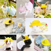 Accesorios de Chaleco para Conejo Correa para Mascotas al Aire Libre Ropa de Conejo con Correa de Arneso - details 4