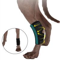 Protector de artritis para perros, soporte para piernas, soporte para articulaciones, rodilleras, recuperación de lesiones, actualizado - details 3