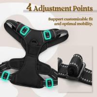 Arnés para perros sin tirantes, chaleco reflectante con mango fácil Control de perros medianos y grandes, suministros de entrenamiento para caminar al aire libre - details 1