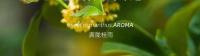 Osmanthus montado aromaterapia expansor perfume aire acondicionado salida de automóvil 2025 nueva decoración interior del coche para niñas - details 3