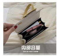 Bolso de nicho francés para mujer, novedad de 2025, textura avanzada, estilo occidental, cadena de verano a juego, bandolera pequeña a la moda - details 6