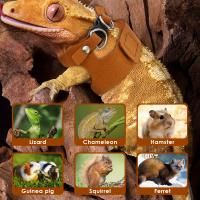 Conjunto de Correa y Lazo de Dragón de Barba de Cuero Suave Ajustable para Reptiles 3Pcs - details 6