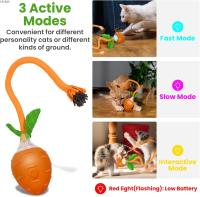 Juguetes Interactivos para Gatos en Interiores: Cargable por USB y Activado por Movimiento Juguete Eléctrico para Gatos con Simulación de Ave Cantando - details 1