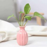 Jarrones hidropónicos nórdicos de cerámica Ins, macetas para botellas de plantas, adorno de mesa, jarrón colorido - details 0