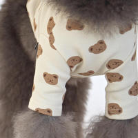 Ropa de muñeca de primavera y verano anticaída fina de estilo coreano, ropa bonita para perros pequeños y ts - details 2