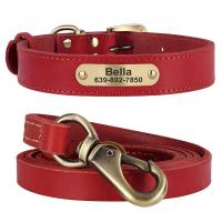 perro cuero auténtico, conjunto de Collar personalizado mascotas correa, placa con grabado gratis para perros pequeños, medianos - details 2