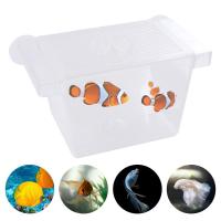 Guppy-incubadora de camarones con aislamiento transparente, incubadora de peces para bebés, caja de cría de peces, caja de aislamiento de peces - details 6
