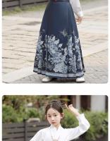 Conjunto de falda con cara de caballo de gama alta, disfraz antiguo de verano para niña pequeña, estilo chino Tang Hanfu, novedad de 2025 - details 6