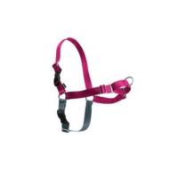 PetSafe 3 en 1, Arnés Antitirones para Perros, Ajustable, Acolchado, Reflectante, Cinturón de Seguridad para Auto, Para Correr y Pasear - Negro, XS - details 16