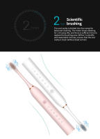 Cepillo de dientes eléctrico sónico recargable por USB, resistente al agua, blanqueamiento inteligente, limpieza automática ultrasónica de dientes - details 8