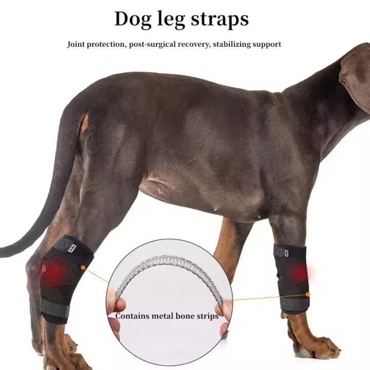 Protector de artritis para perros, soporte para piernas, soporte para articulaciones, rodilleras, recuperación de lesiones, actualizado - 1