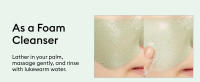 Artemisia Pack Foam Cleanser