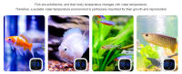 Termómetro digital para acuario, termómetro LED para pecera, termómetro adhesivo para reptiles con pantalla táctil, números grandes, batería, para peces, axolotl, tortuga, acuático - details 3