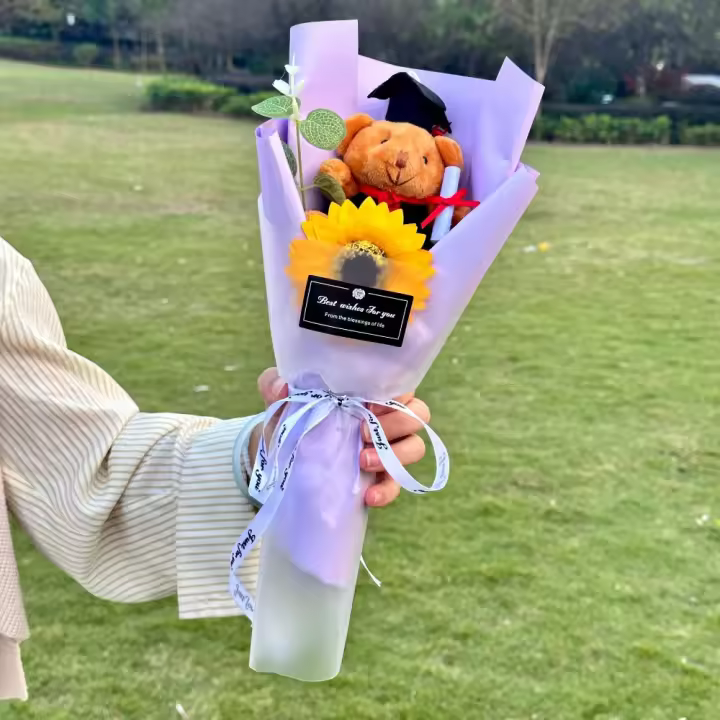 Nuevo Maester Bear-ramo de graduación, oso de peluche de dibujos animados, impresionante oso encantador de dibujos animados, regalo para el Día de San Valentín - 1