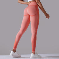 Pantalones Deportivos Sin Costuras para Mujeres Cintura Alta Yoga, Levantamiento de Glúteos, Carreras Ropa de Gimnasio - details 20