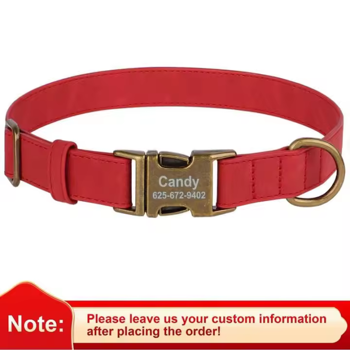 Conjunto Collar personalizado perro, correa plomo caminar, collares de cuero para mascotas, perros pequeños, medianos y grandes, - 1
