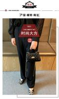Bolso de textura de alta calidad de la marca Hong Kong2025Nueva Bolsa de Mano Elegante y Versátil Acolchada, Bandolera de Hombro - details 5