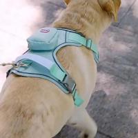 Arnés reflectante para perro, chaleco ajustable, correa de pecho para perro antidesprendimiento, transpirable con mochila, conjunto de arnés y correa para perro al aire libre - details 3