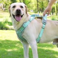 Arnés reflectante para perro, chaleco ajustable, correa de pecho para perro antidesprendimiento, transpirable con mochila, conjunto de arnés y correa para perro al aire libre - details 1