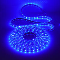 GAHADA Tira de LED Flexible 220V 60LEDs/m Iluminación y Decoración Impermeable con Enchufe de Interruptor EU - details 6