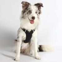 Arnés para perros transpirable y duradero, ajustable con bolsillos con cremallera, chaleco para mascotas, impermeable, reflectante, pecho para perro, caminar con el perro - details 4